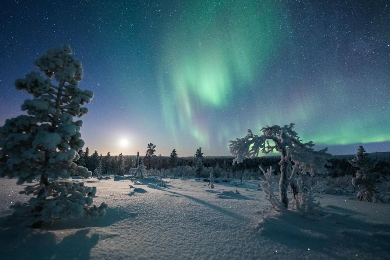 Arctic Sky Lapland Saariselka